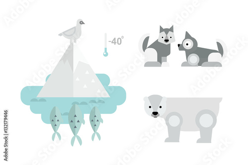 Alaska animals vector illustration.