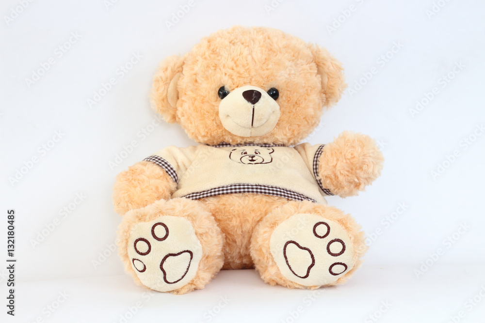 Obraz premium Brown teddy bear on a white background.