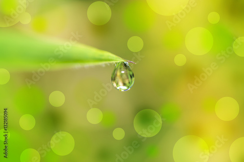 drop water the end leaf and bokeh background