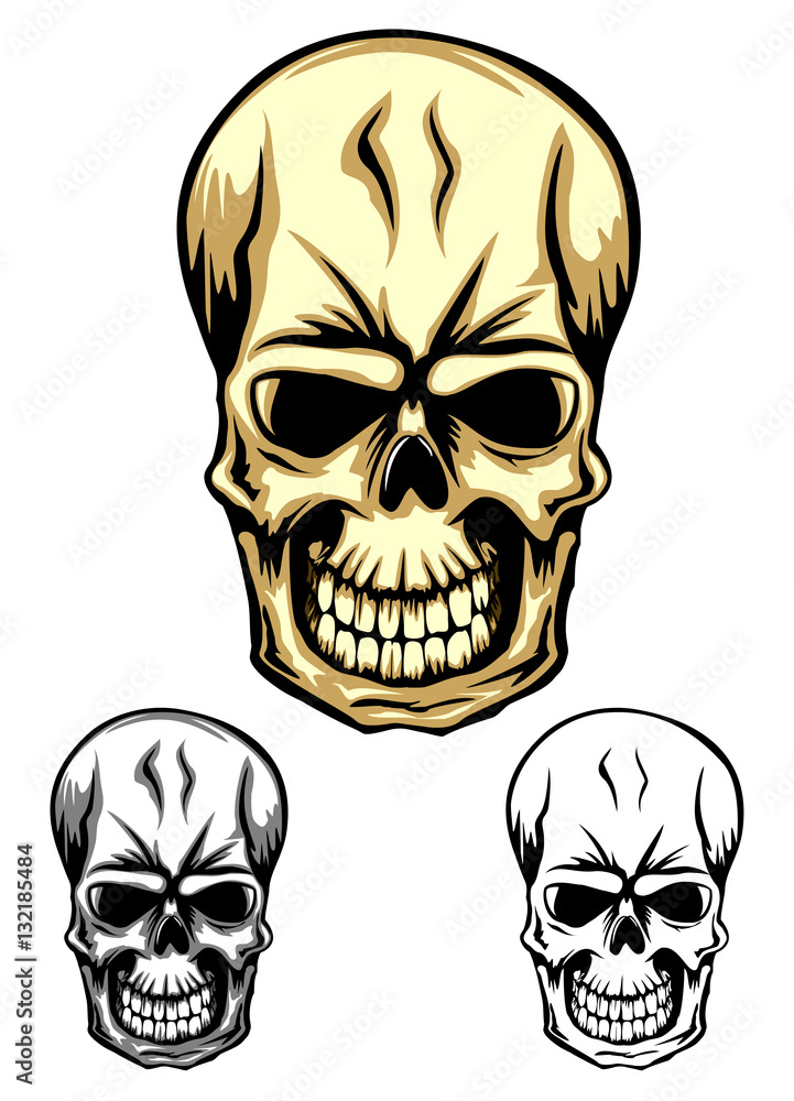 Fototapeta premium skull color dwa