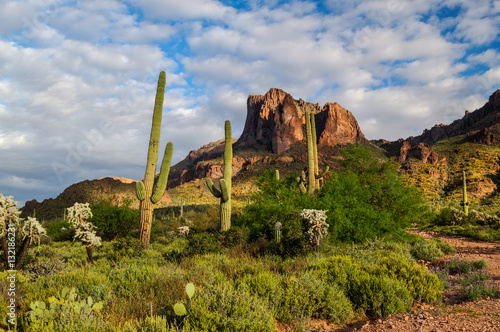 Carney Springs Trail in the Supersttion Mountain Wilderness of Arizona is beautiful, but very steep and boulder-choked. photo