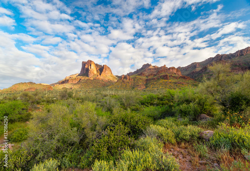 Carney Springs Trail in the Supersttion Mountain Wilderness of Arizona is beautiful, but very steep and boulder-choked.