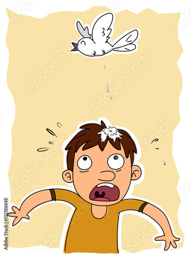 bird poop on head