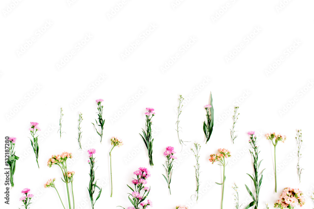 Colorful wildflowers on white background. Flat lay, top view. Valentine's background Colorful wildflowers on white background. Flat lay, top view. Valentine's background