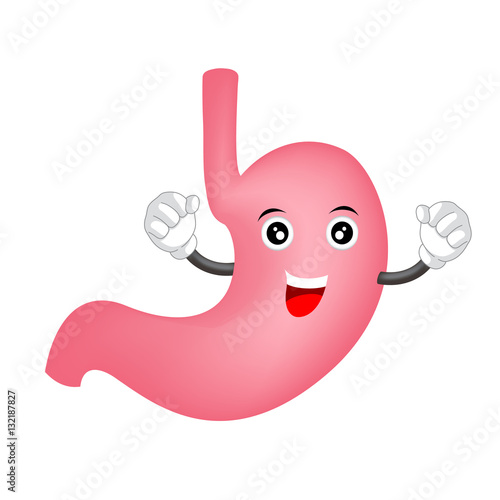 Cute cartoon stomach character. Healthy internal organ concept. Illustration isolated on white background.