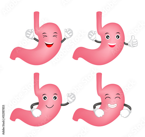Happy cartoon stomach character set. Healthy internal organ concept. Illustration isolated on white background.