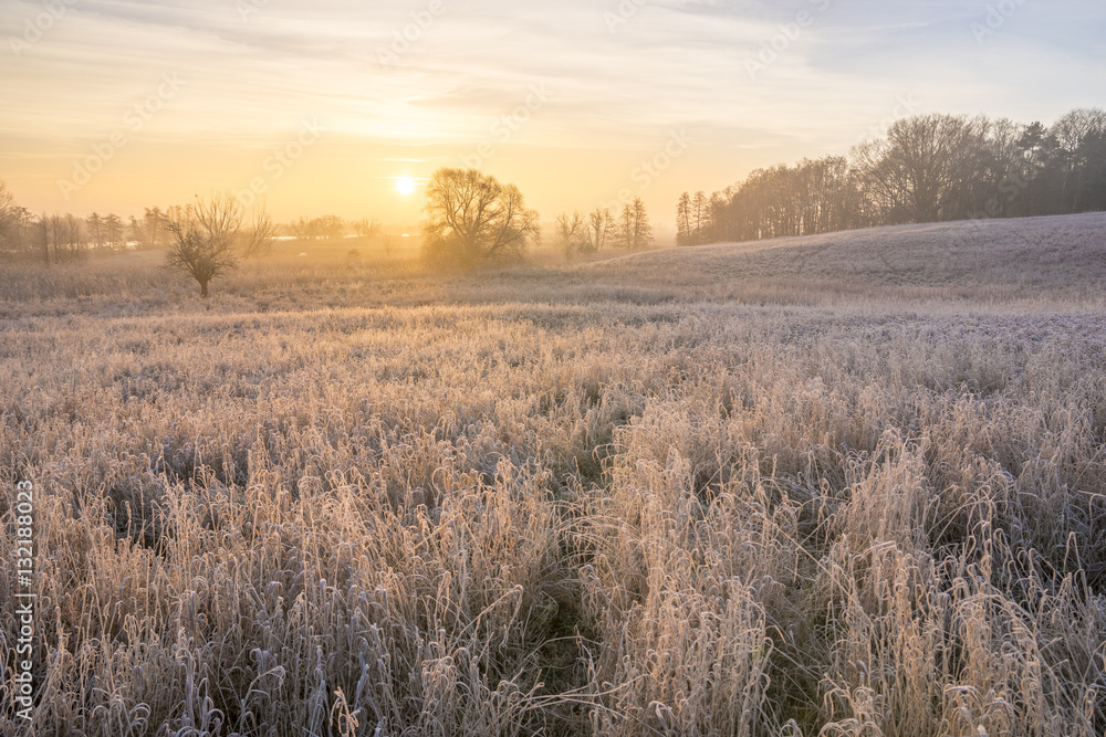 sunny, foggy and frosty morning in the countryside, meadow sunny, foggy and frosty morning in the countryside, meadow