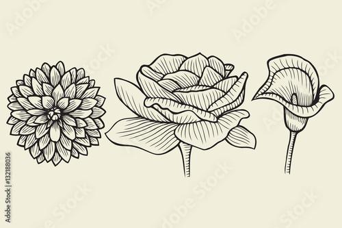 flowers - hand drawn collection