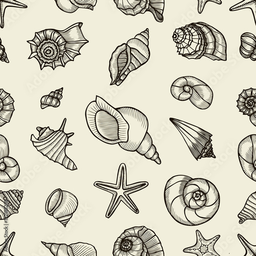 Seashell seamless pattern.