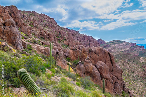 Carney Springs Trail in the Supersttion Mountain Wilderness of Arizona is beautiful, but very steep and boulder-choked.