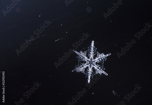 natural snowflakes on snow, photo real snowflakes during a snowfall, under natural conditions at low temperature
