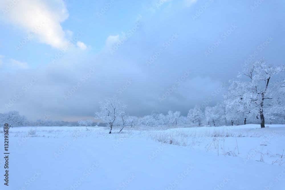 Obraz premium 樹氷の風景・白銀の世界