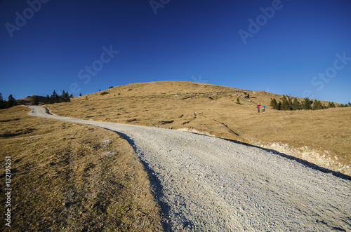Obraz na plátně Up the hill