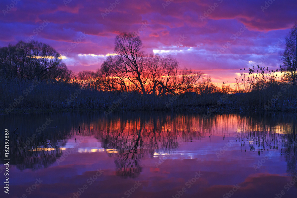 bright sunset on a wild lake in lilac tones