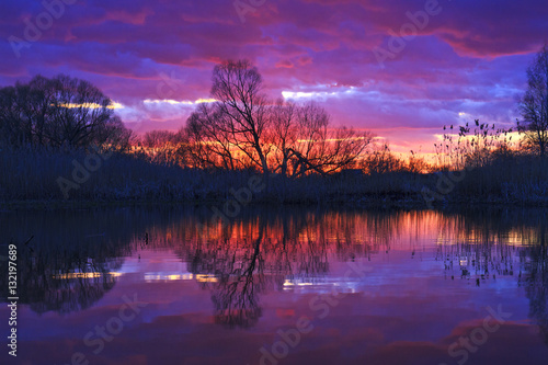 bright sunset on a wild lake in lilac tones
