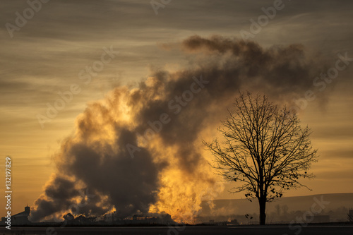 house in fire near a tree in sunset