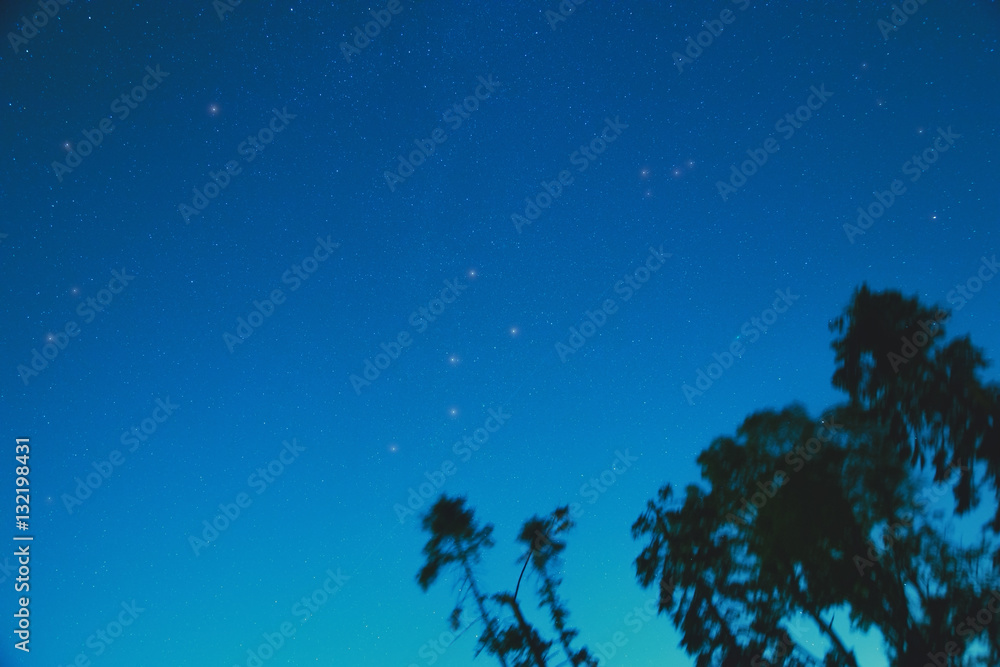 Silhouettes of the countryside with starry skies.
Silhouettes of the countryside with starry skies.