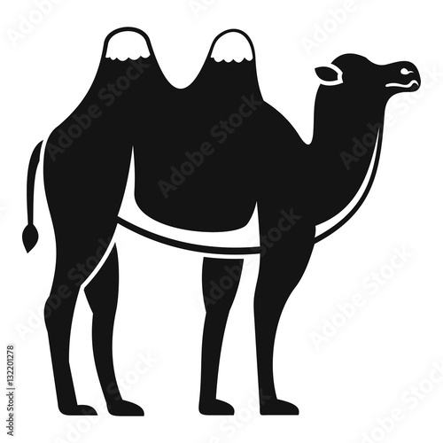 Camel icon. Simple illustration of camel vector icon for web