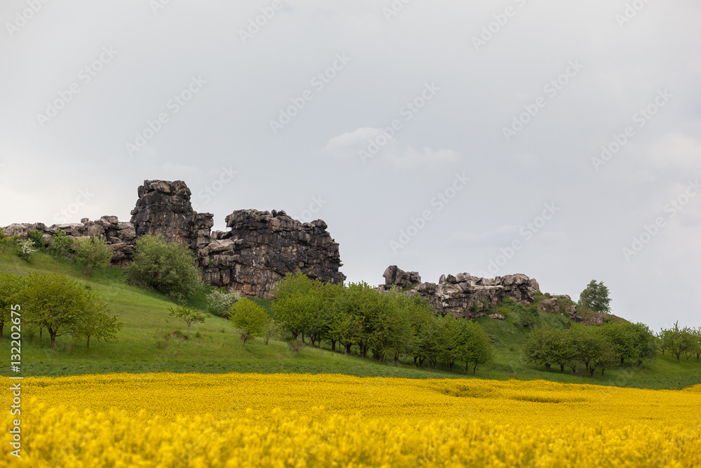 Teufelsmauer mit gelben Rapsfeld Harz