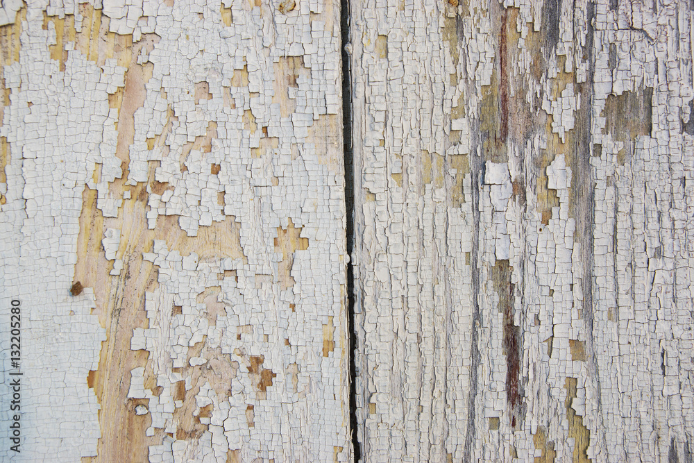 Obraz premium Grea and white background of weathered painted wooden plank