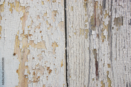 Grea and white background of weathered painted wooden plank photo