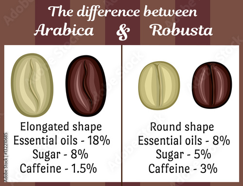 The visual difference between the coffee beans of Arabica and Robusta