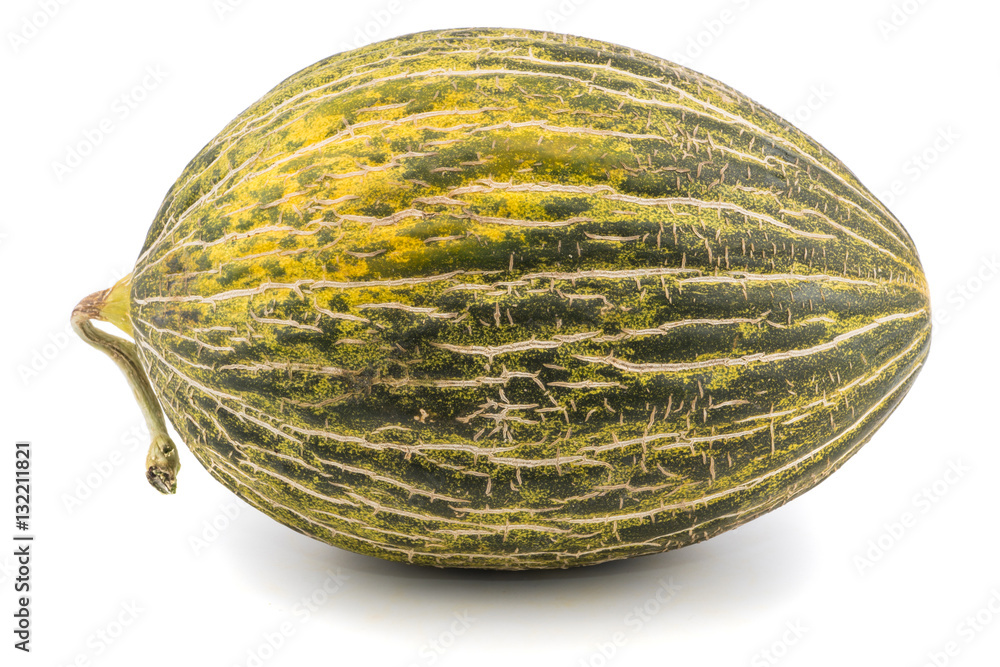 One Fresh whole Piel de sapo melon on white background. One Fresh whole Piel de sapo melon on white background.