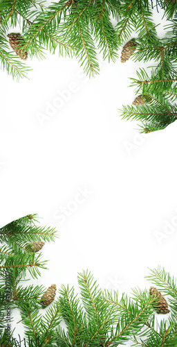 christmas decoration frame with fir branches and cones