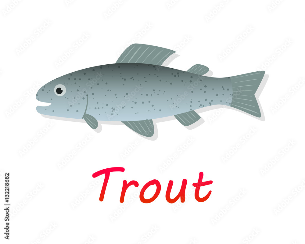 Fresh Trout fish in flat style, vector Fresh Trout fish in flat style, vector
