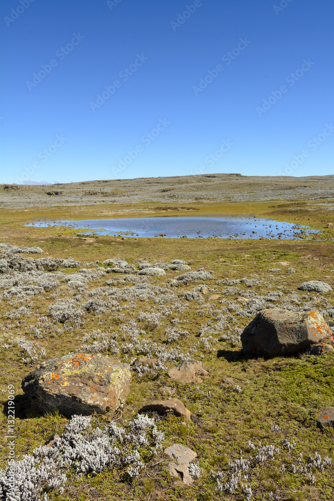 Scenic view. Bale Highlands. Ethiopia. Scenic view. Bale Highlands. Ethiopia.