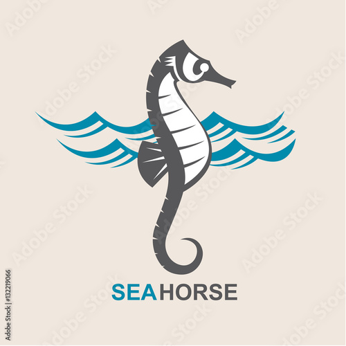 image of sea horse and ocean waves