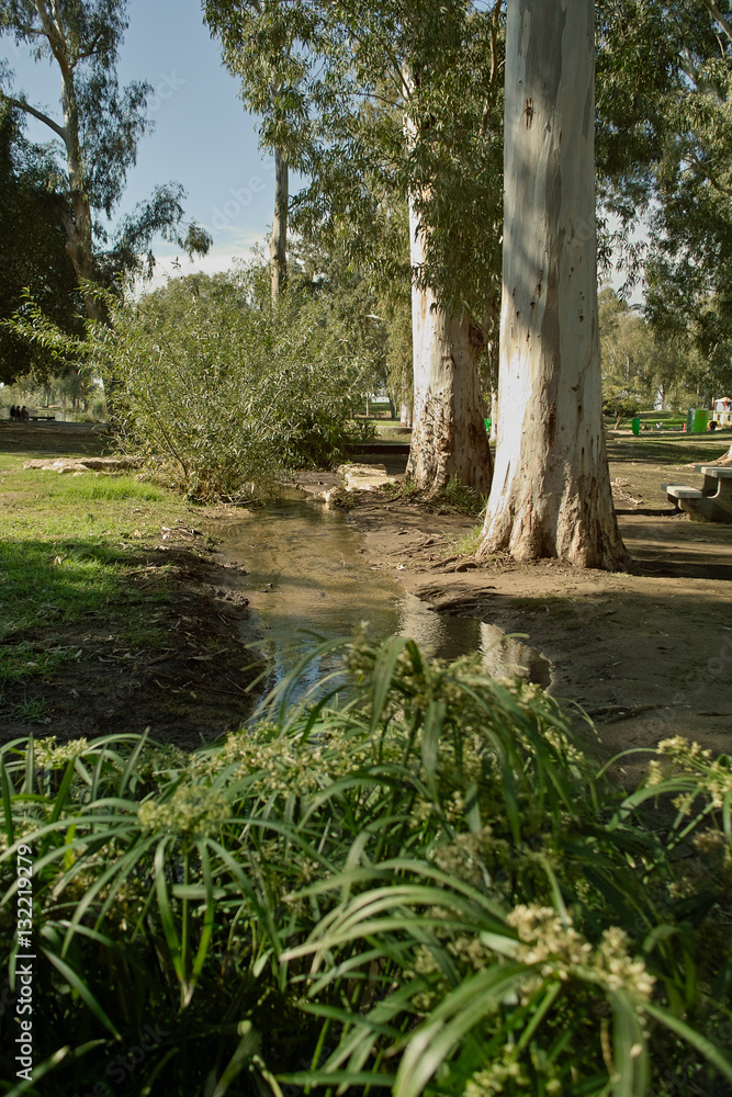 Tel Afek (Antipatris) park, Israel Tel Afek (Antipatris) park, Israel