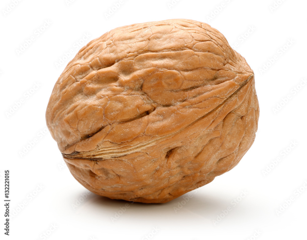 Whole walnut isolated Whole walnut isolated