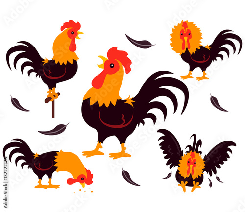 Vector Illustration of Set of Rooster Movements