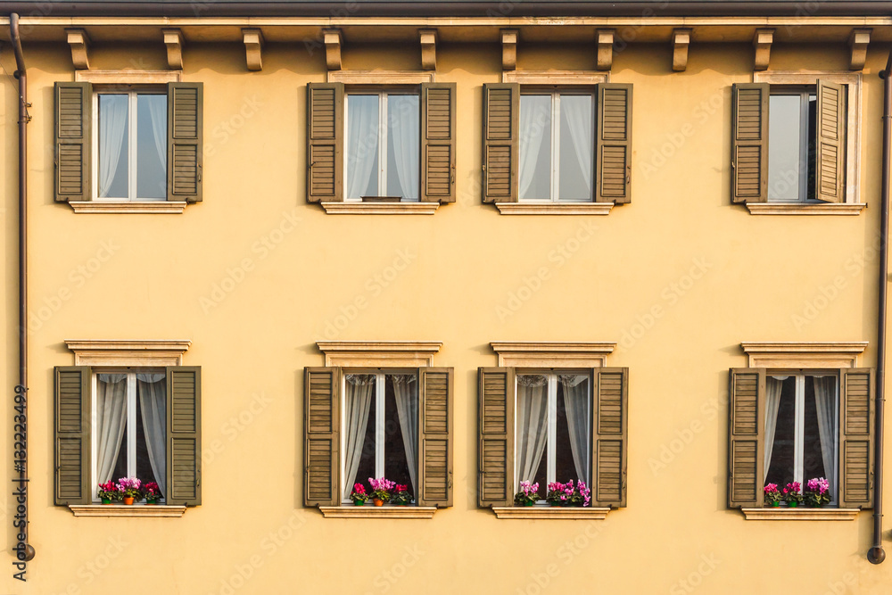 Windows on yellow wall with flower.