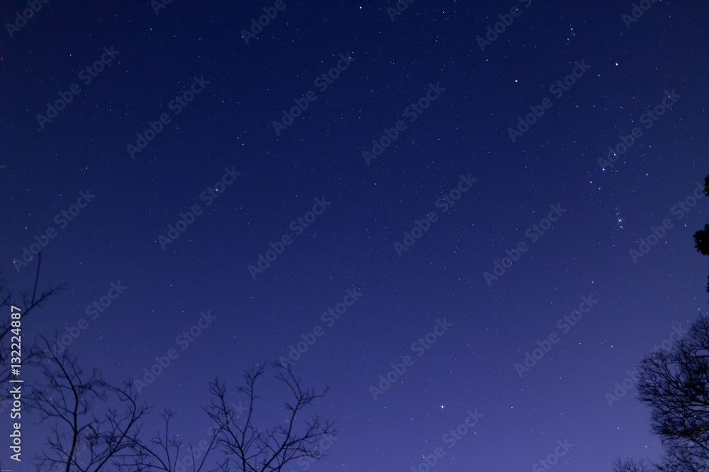 故郷の夜空のオリオン 故郷の夜空のオリオン
