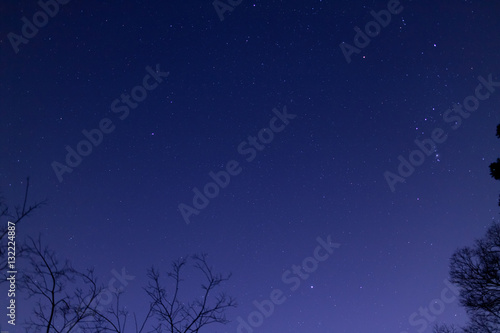 故郷の夜空のオリオン © oxkinaxwa