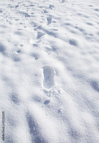 Footprints in Snow-Portrait A cold winter scene featuring fresh footprints in the semi-deep snow. The footprints are walking towards the camera and the format is portrait / tall.