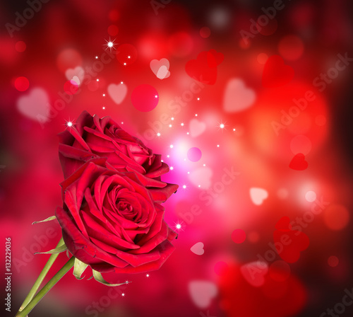   St Valentine s Day concept  Red rose with Valentines background