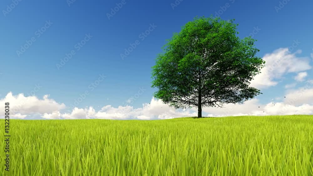 Landscape Single Tree with wind Animation