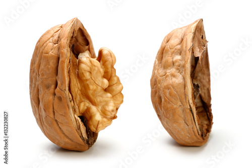 Half a piece of walnut.