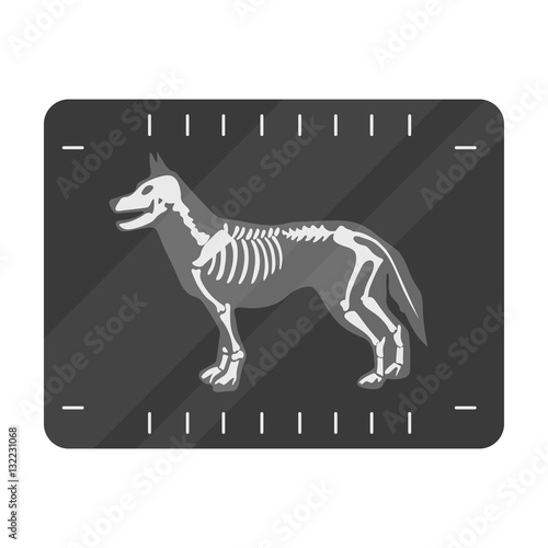 Dog x-ray icon in monochrome style isolated on white background. Veterinary clinic symbol stock vector illustration.