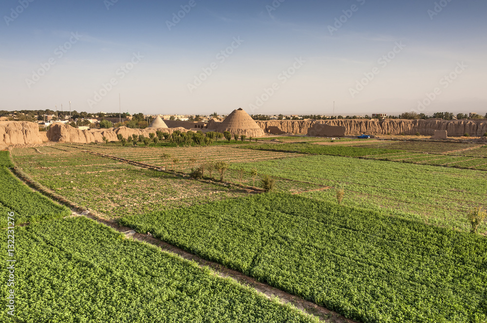 Iran, Kashan, 40 Dokhtaran Fortress: Green fields and agriculture inside the ancient fortress with mud walls and pyramids in the background.