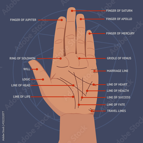 Palmistry. Open hand lines and symbols mystical reading vector illustration