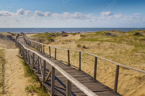 Wood bridge over dunes  vegetation and ocean in background