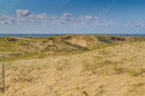 Dunes and vegetation at Cassino beach