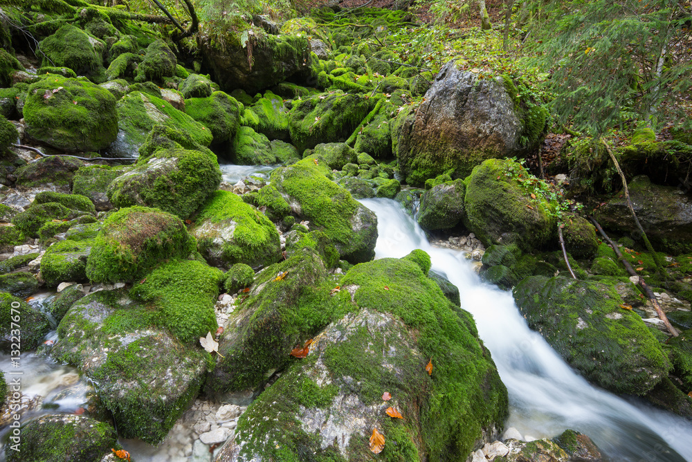 Bühlerbach im Salzkammergut Bühlerbach im Salzkammergut