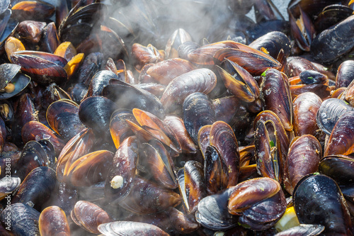 Fototapeta Naklejka Na Ścianę i Meble -  Blue mussel in the shells