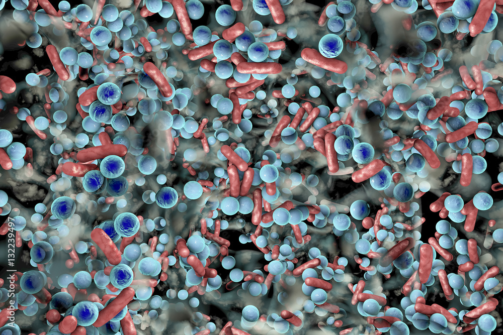 Biofilm of antibiotic resistant bacteria. Rodshaped and spherical