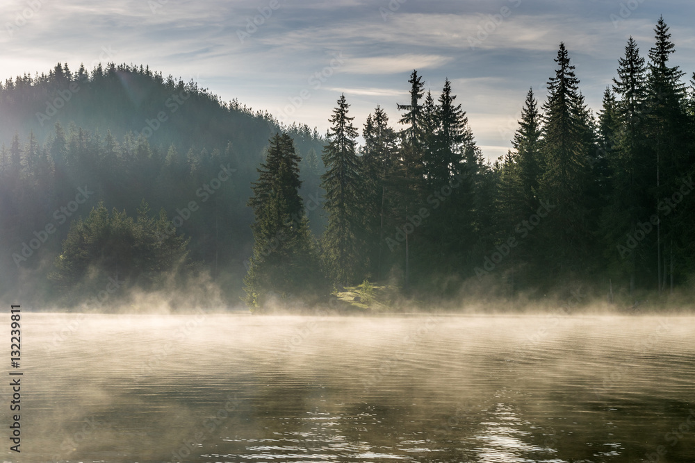 The rain just passed and the fog came into The rain just passed and the fog came into